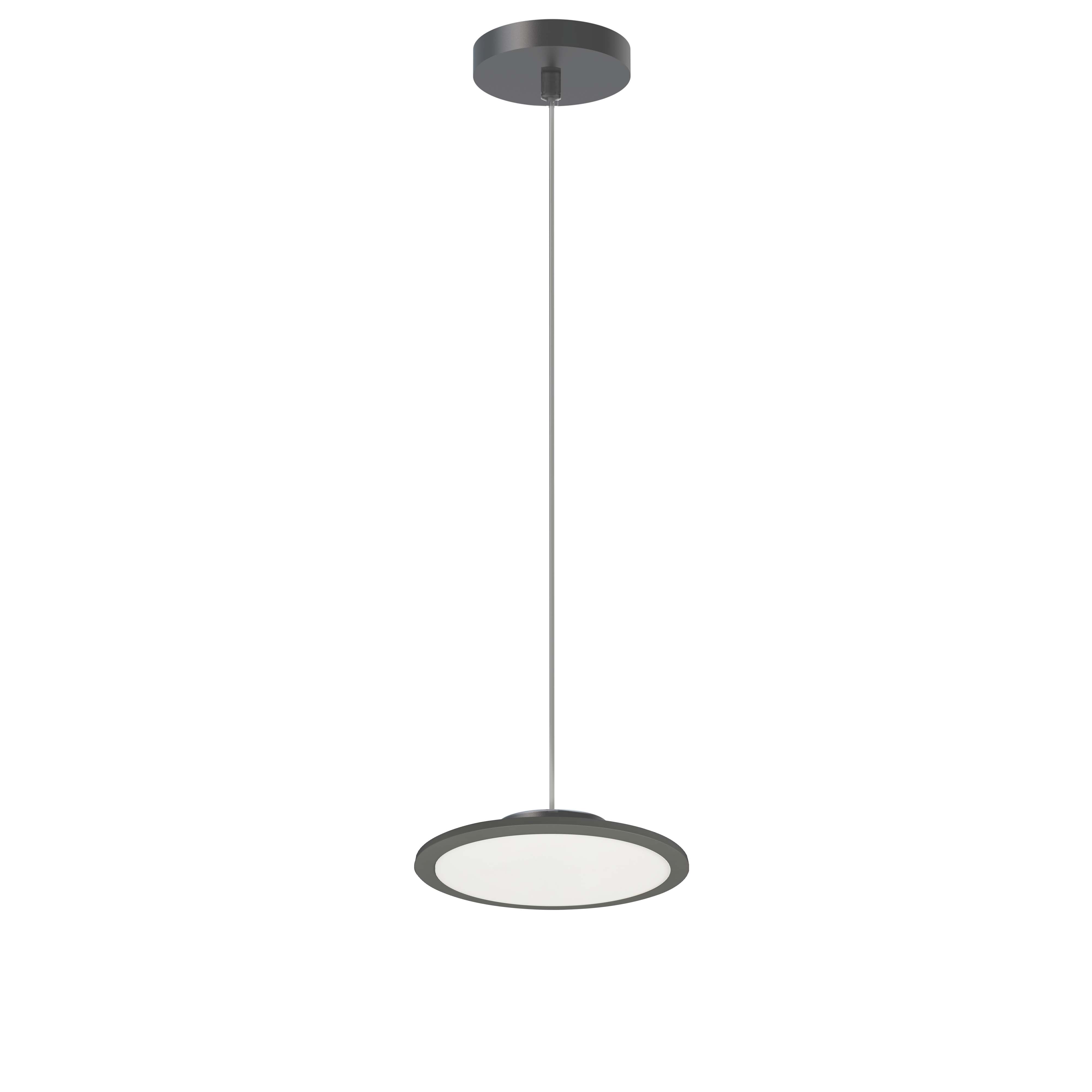 Franchesa Archives - Dainolite