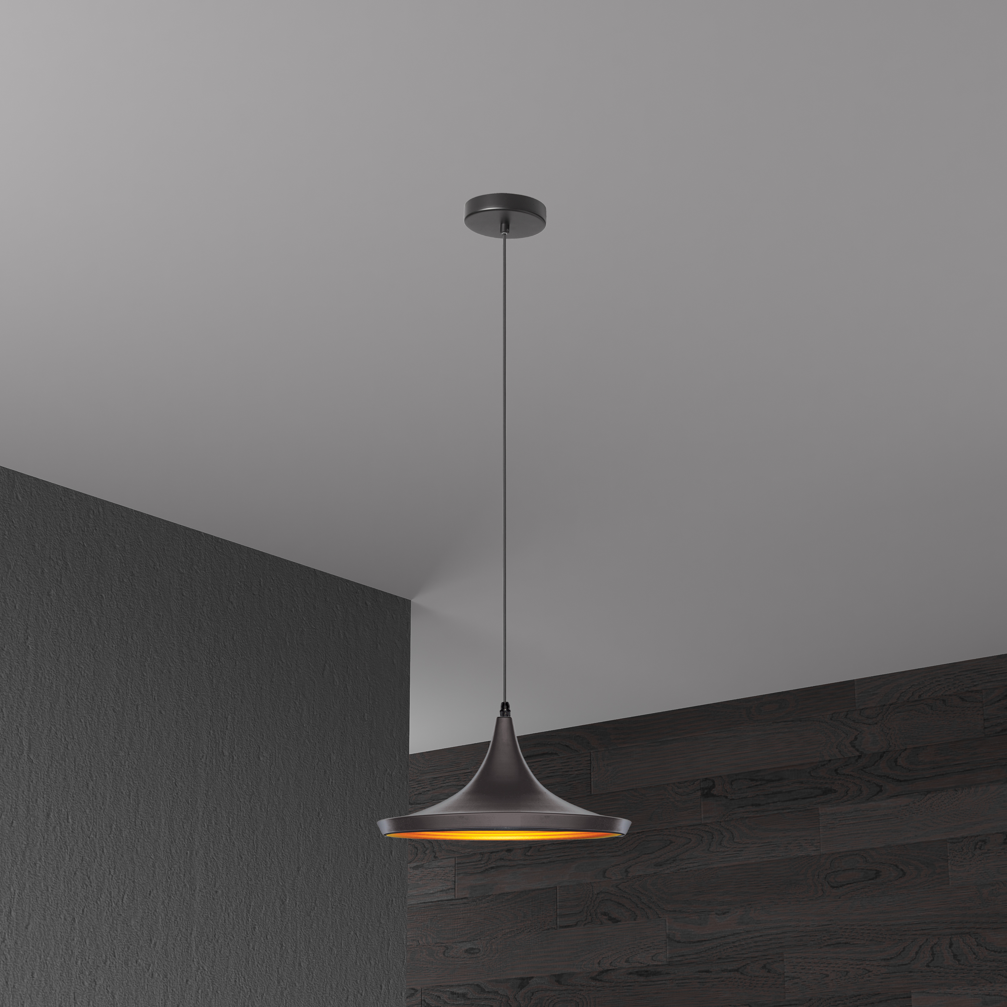 1LT Pendant, Aluminum Black