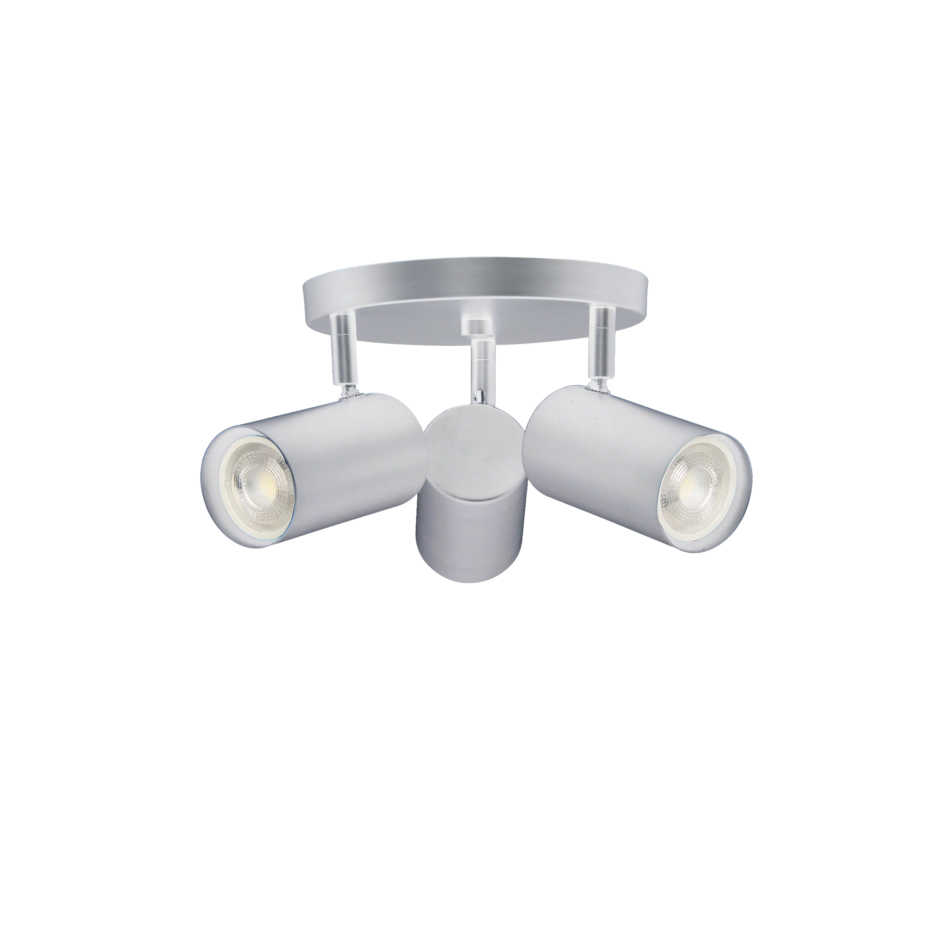 3LT Spot Light, SC