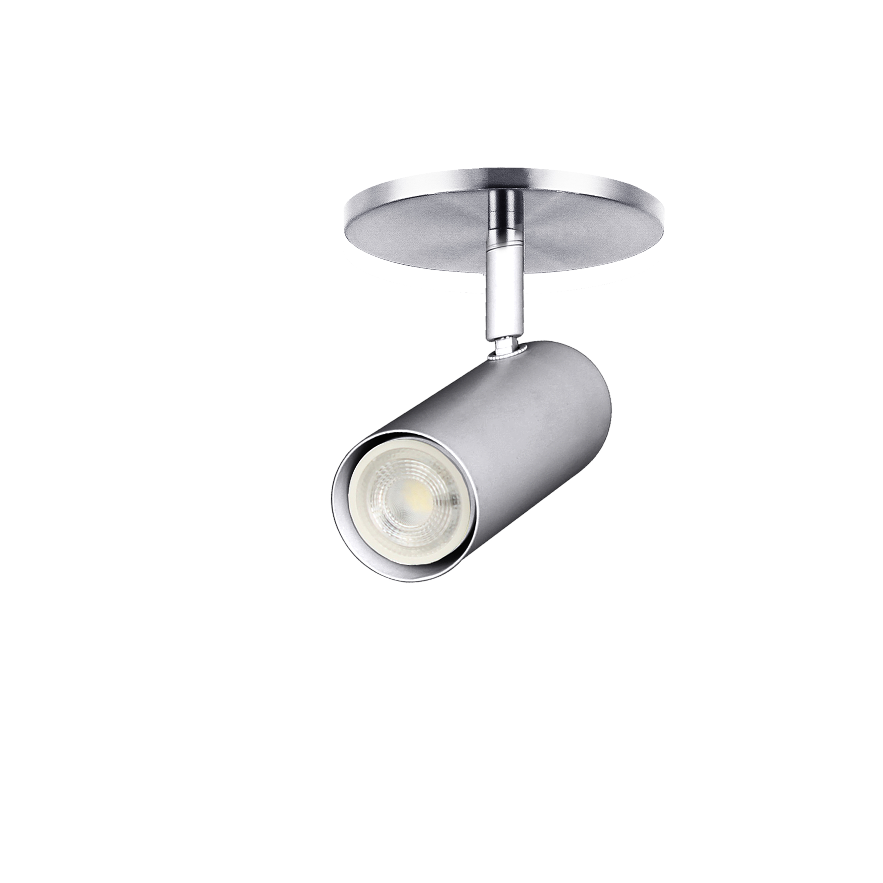 1LT Spot Light, SC